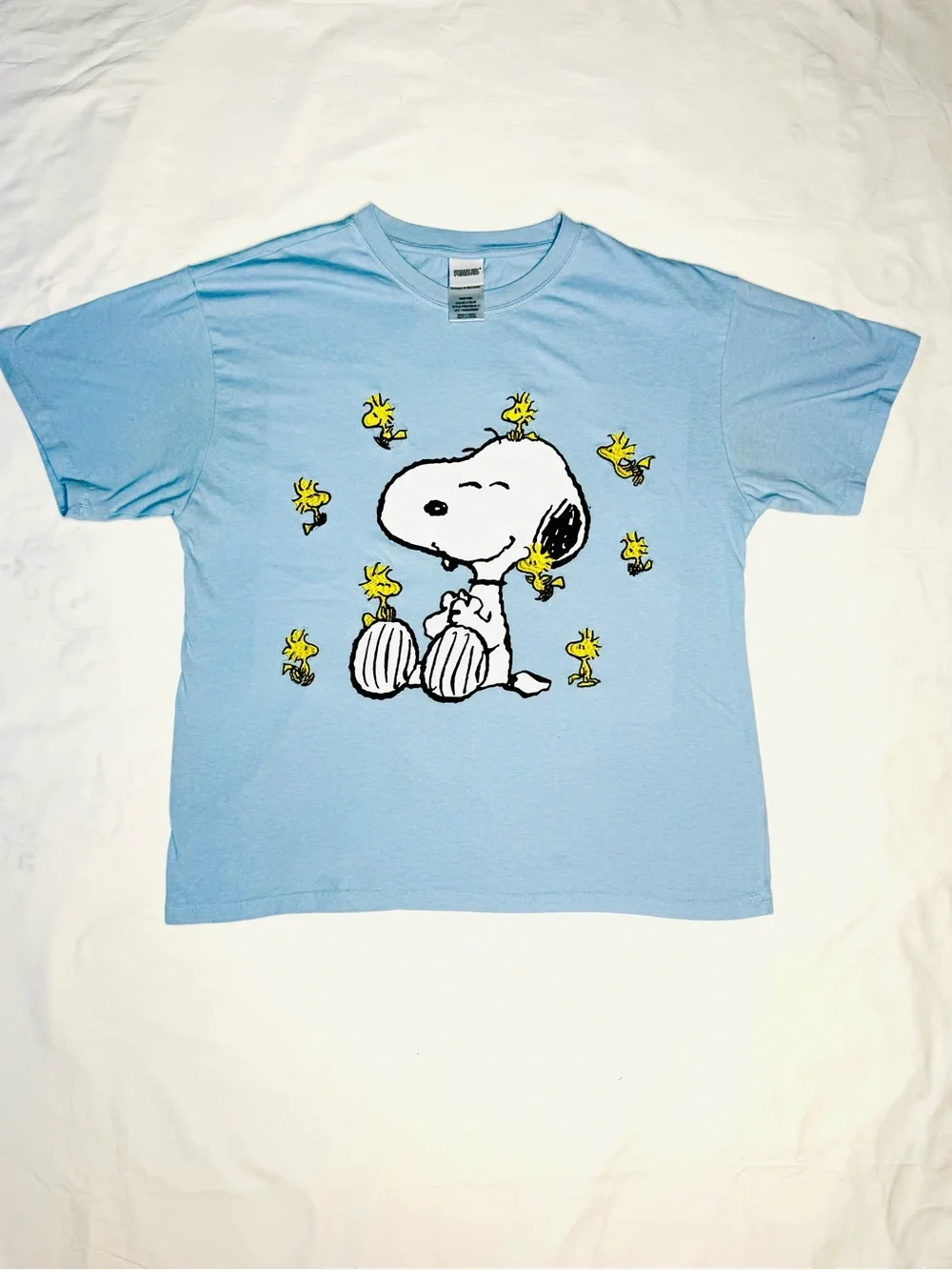 Peanuts Snoopy and
Woodstock Embroidered Light
Blue Graphic T-Shirt - Picture 8 of 8